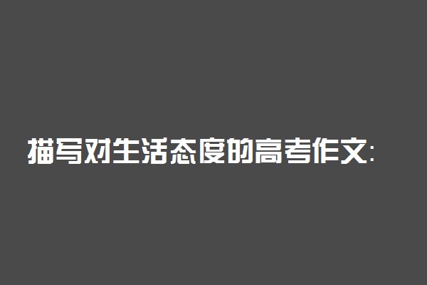 描写对生活态度的高考作文：人生百态，需要笑看