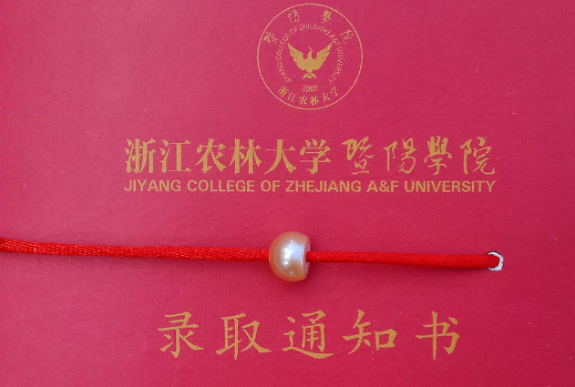 封面佩珍珠的高颜值录取通知书
