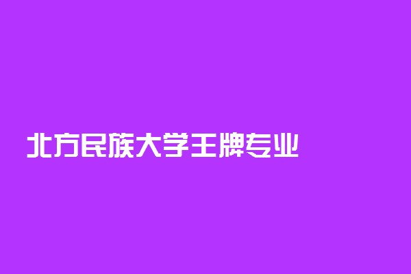 北方民族大学王牌专业