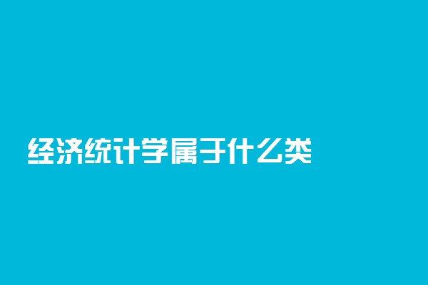 经济统计学属于什么类