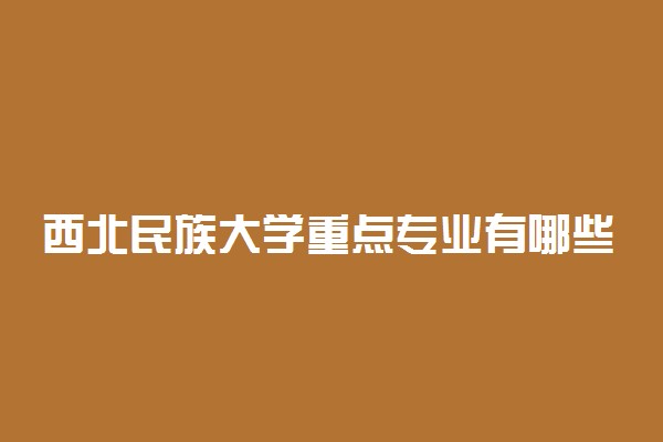 西北民族大学重点专业有哪些