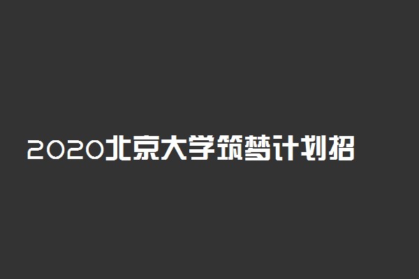 2020北京大学筑梦计划招生专业及人数
