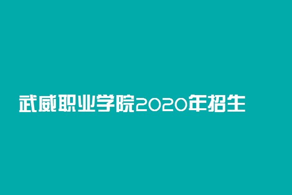 武威职业学院2020年招生章程