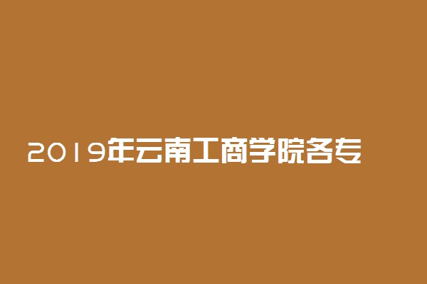 2019年云南工商学院各专业录取分数线