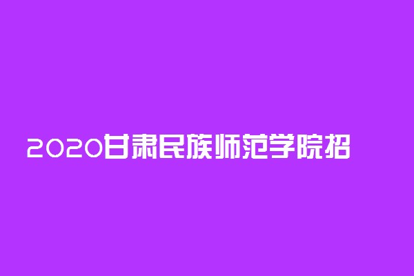 2020甘肃民族师范学院招生计划及人数