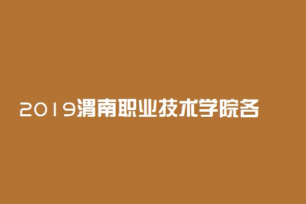 2019渭南职业技术学院各省录取分数线
