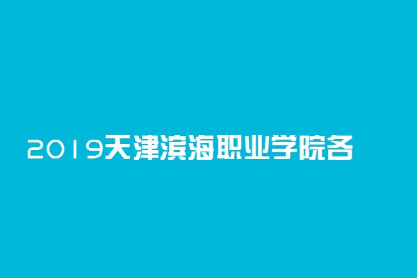 2019天津滨海职业学院各省录取分数线一览表