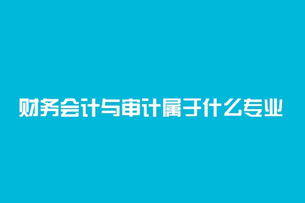 财务会计与审计属于什么专业类别