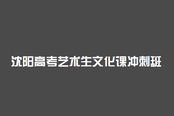 沈阳高考艺术生文化课冲刺班哪家好