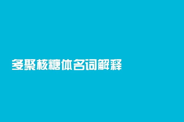 多聚核糖体名词解释