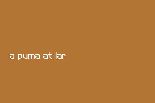 a puma at large翻译
