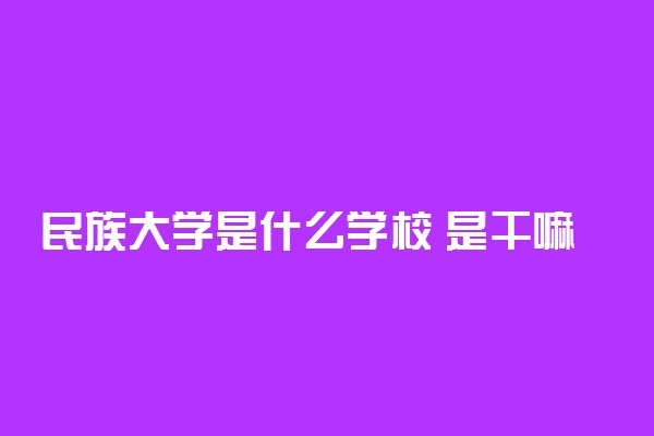 民族大学是什么学校 是干嘛的