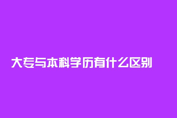 大专与本科学历有什么区别 有哪些不同