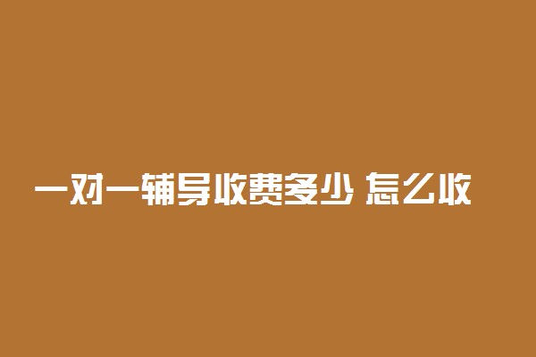 一对一辅导收费多少 怎么收费