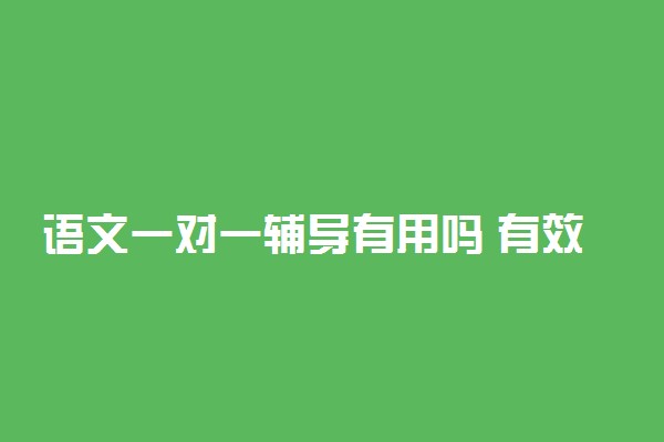 语文一对一辅导有用吗 有效果吗