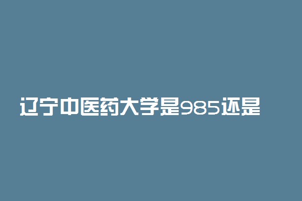 辽宁中医药大学是985还是211