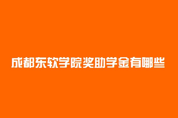 成都东软学院奖助学金有哪些分别多少钱 怎么申请评定