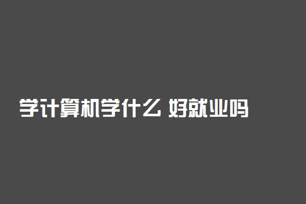 学计算机学什么 好就业吗