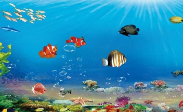 2022全国开设海洋生物资源与环境专业有哪些院校