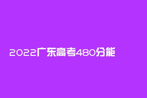 2022广东高考480分能上什么大学