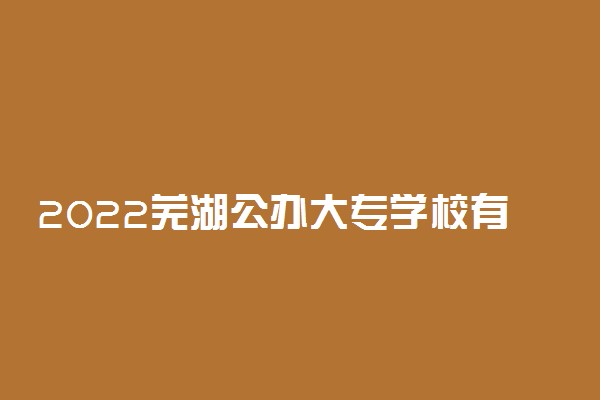 2022芜湖公办大专学校有哪些 【教育部专科院校名单】