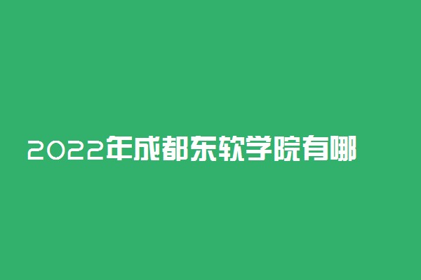 2022年成都东软学院有哪些专业 开设专业名单