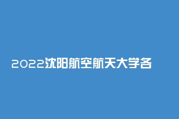 2022沈阳航空航天大学各省艺术类专业文化录取分数线是多少