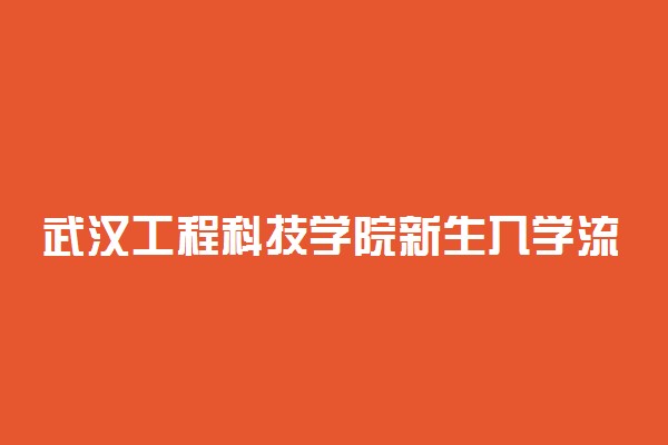 武汉工程科技学院新生入学流程及注意事项 2022年迎新网站入口