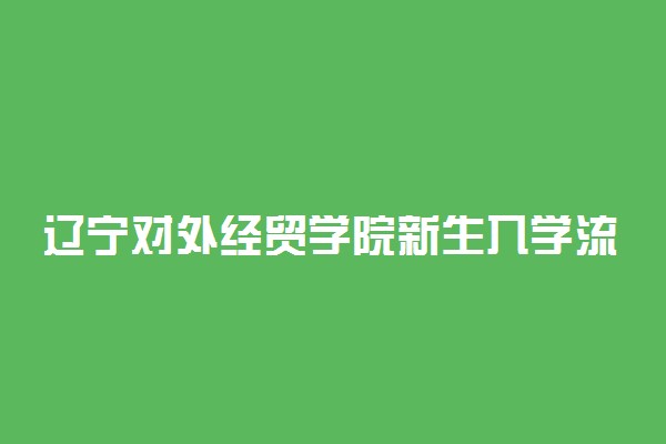 辽宁对外经贸学院新生入学流程及注意事项 2022年迎新网站入口