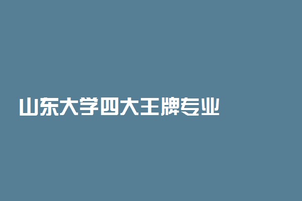 山东大学四大王牌专业