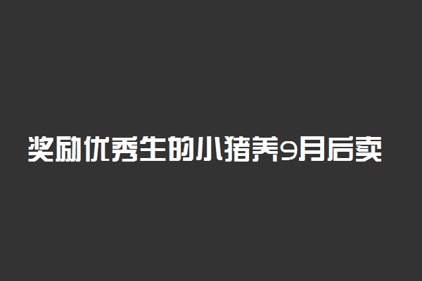 奖励优秀生的小猪养9月后卖4000元 具体怎么回事