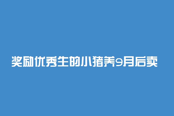 奖励优秀生的小猪养9月后卖4000元 是什么情况