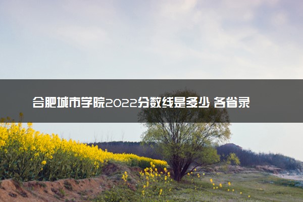 合肥城市学院2022分数线是多少 各省录取最低位次