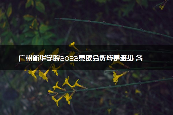 广州新华学院2022录取分数线是多少 各省投档最低分及位次