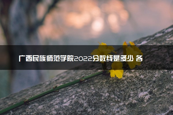 广西民族师范学院2022分数线是多少 各省录取最低位次