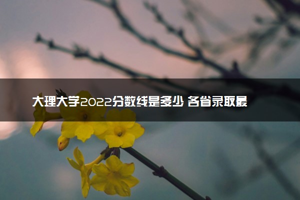 大理大学2022分数线是多少 各省录取最低位次