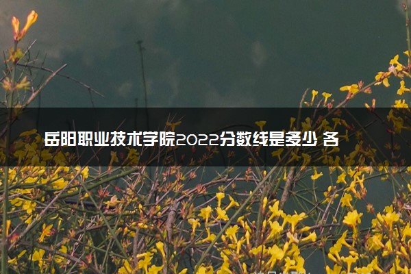 岳阳职业技术学院2022分数线是多少 各省录取最低位次