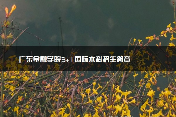 广东金融学院3+1国际本科招生简章