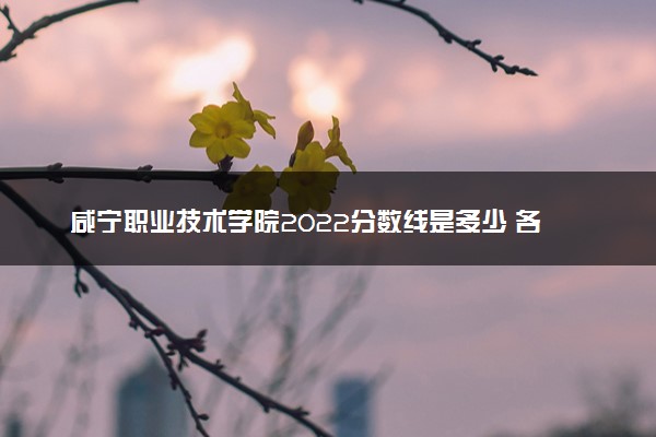 咸宁职业技术学院2022分数线是多少 各省录取最低位次