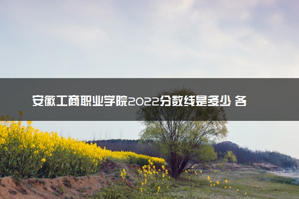 安徽工商职业学院2022分数线是多少 各省录取最低位次