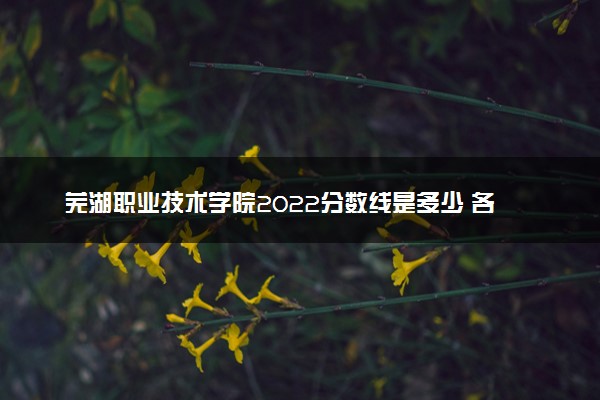 芜湖职业技术学院2022分数线是多少 各省录取最低位次