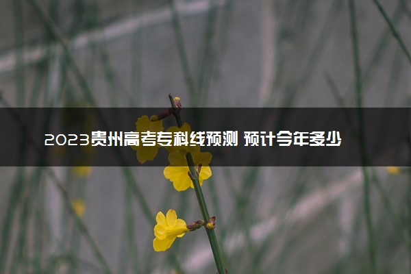 2023贵州高考专科线预测 预计今年多少分能上专科