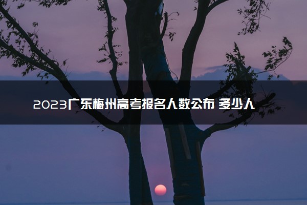 2023广东梅州高考报名人数公布 多少人参加高考