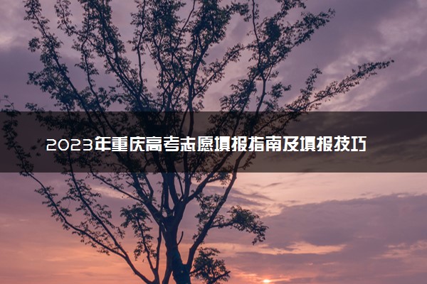 2023年重庆高考志愿填报指南及填报技巧