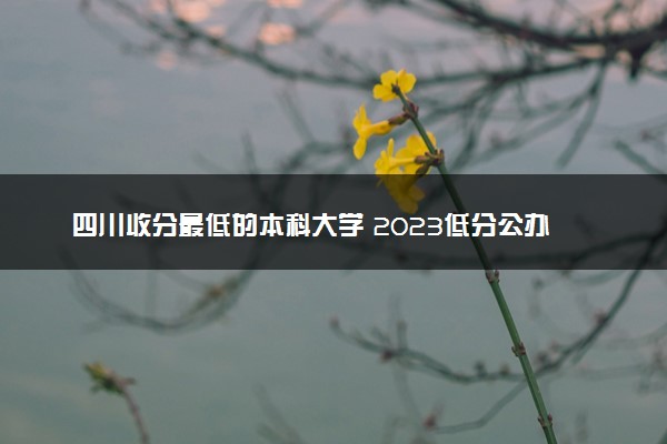 四川收分最低的本科大学 2023低分公办院校推荐