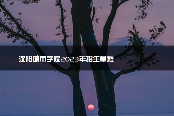 沈阳城市学院2023年招生章程