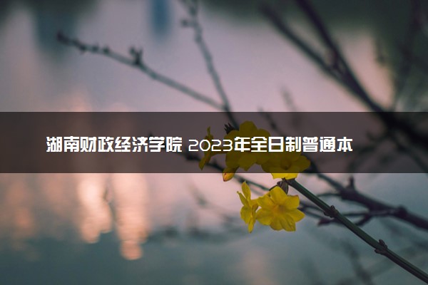 湖南财政经济学院 2023年全日制普通本科招生章程    