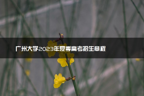 广州大学2023年夏季高考招生章程