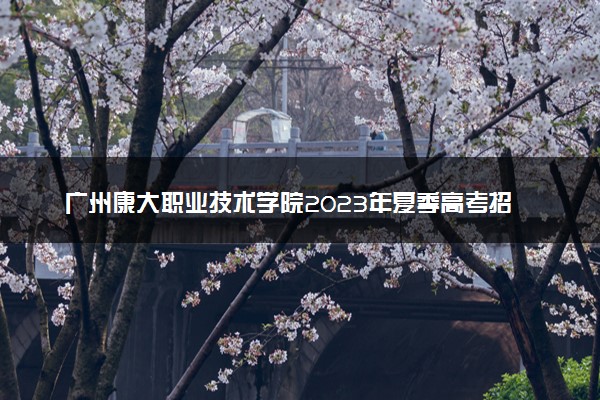 广州康大职业技术学院2023年夏季高考招生章程