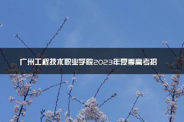 广州工程技术职业学院2023年夏季高考招生章程